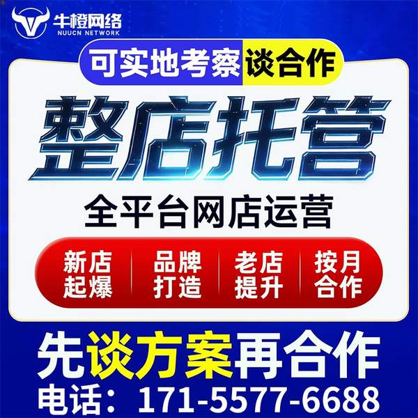 如皋电商代运营